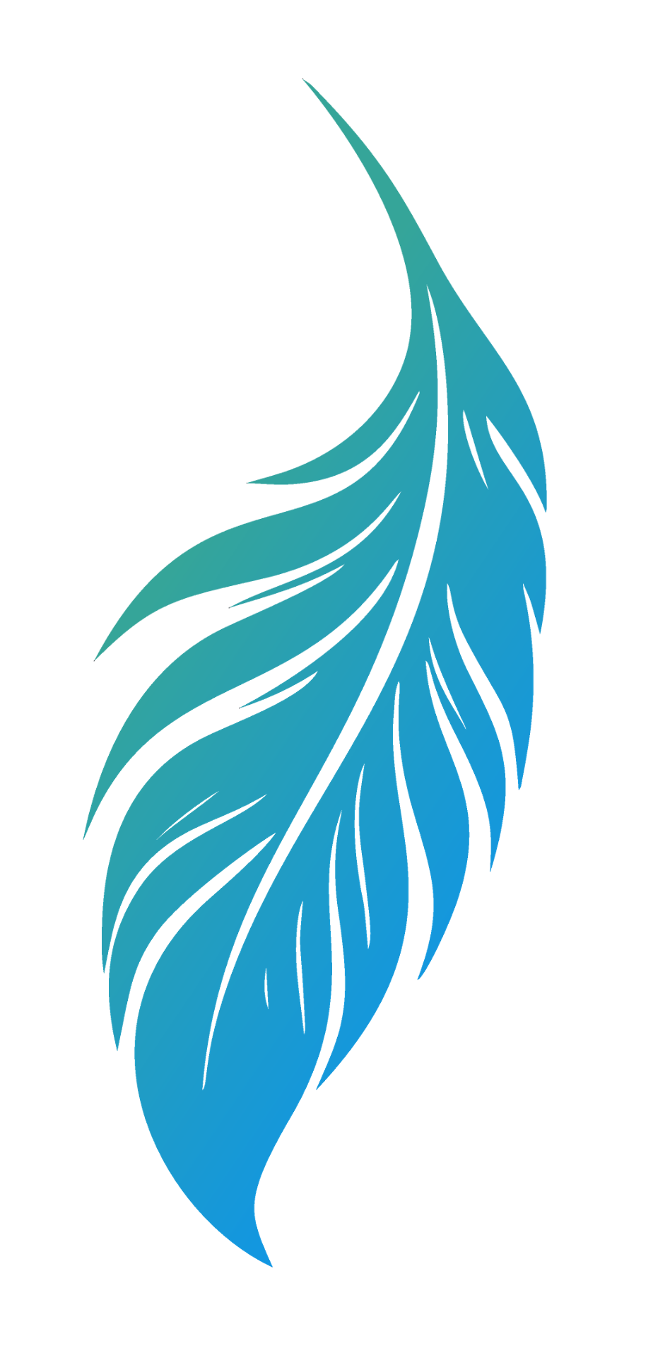 Falling down blue and green feather